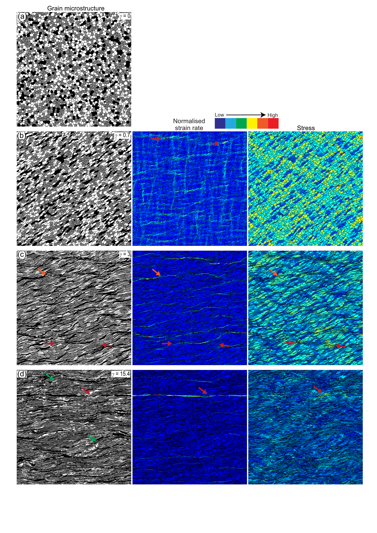The ephemeral development of C′ shear bands: A numerical modelling approach